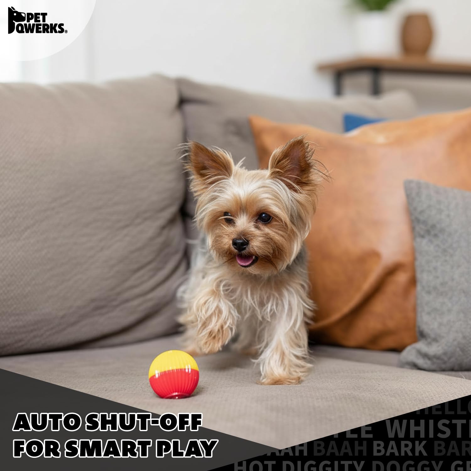 Pet Qwerks Babble Ball essuyé après usage pour entretien simple et hygiène