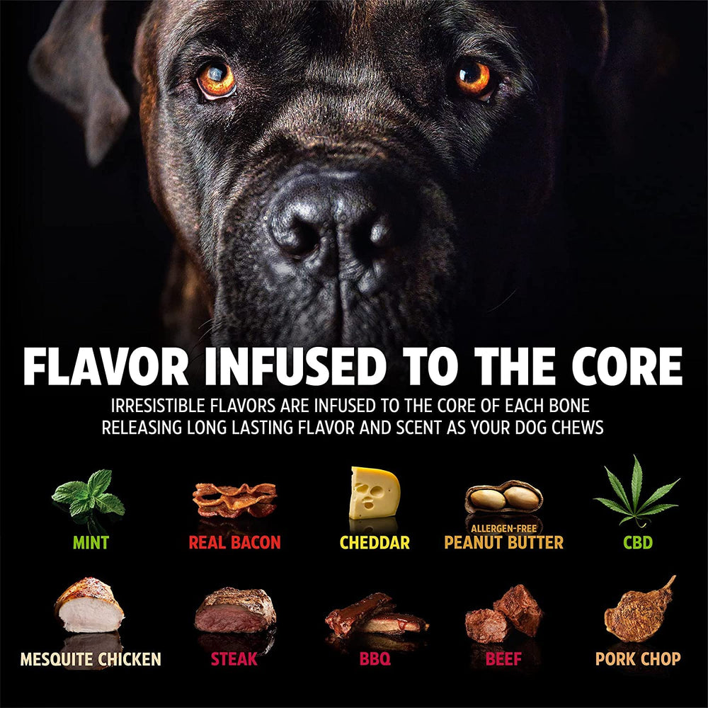 Chien mâchant un Pet Qwerks BarkBone soulage l'ennui et réduit le stress