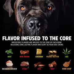 Chien mâchant un Pet Qwerks BarkBone soulage l'ennui et réduit le stress