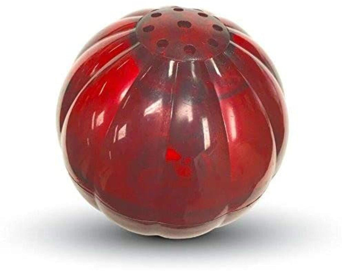 Pet Qwerks Blinky Babble Ball grand vue frontale montre lumière et son attractifs