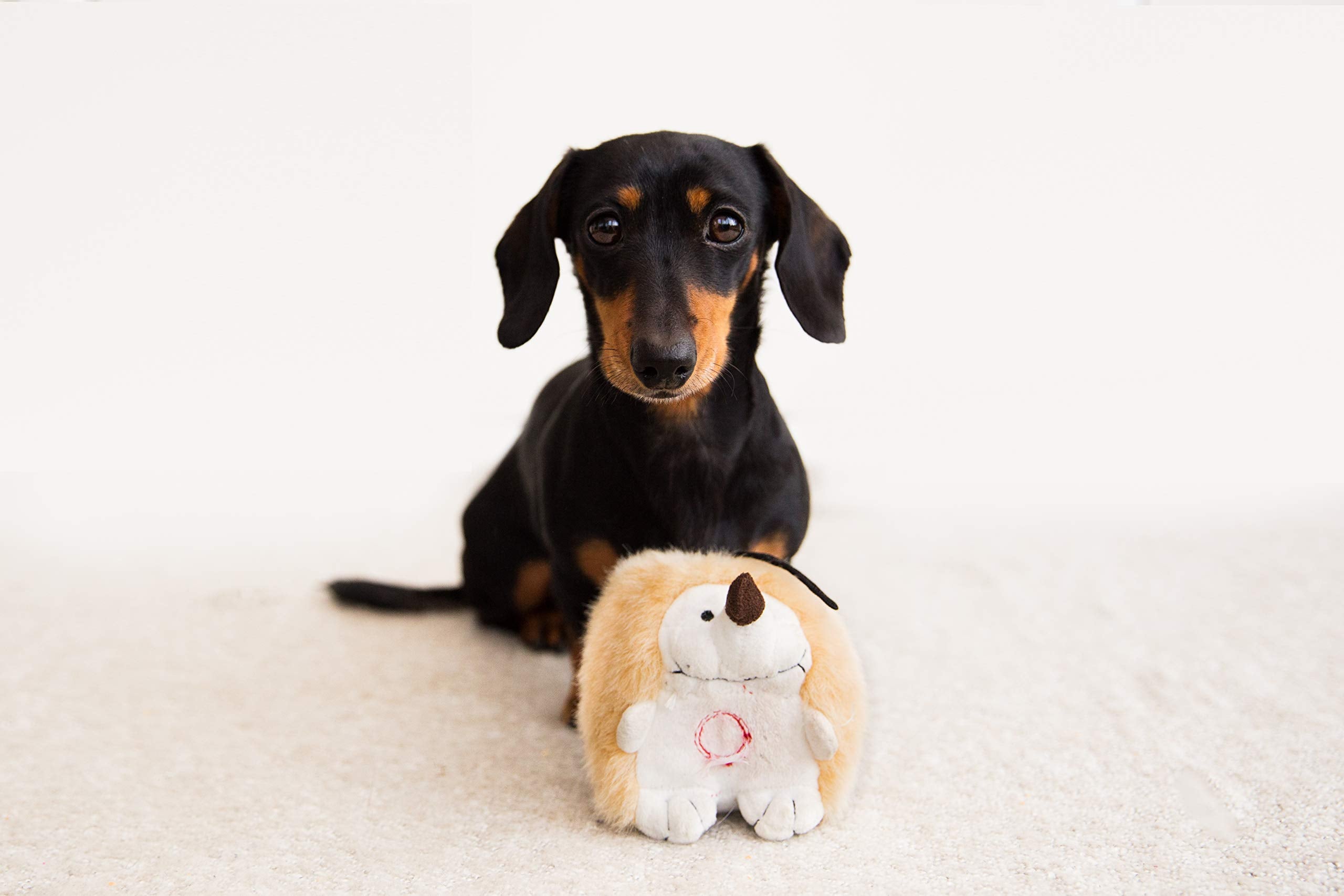 Pet Qwerks gros plan sur la texture douce de la peluche pour confort de câlin