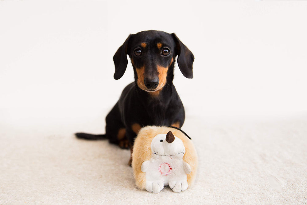 Pet Qwerks gros plan sur la texture douce de la peluche pour confort de câlin