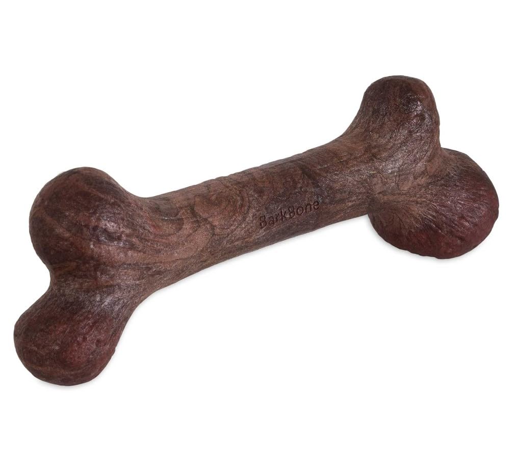 Pet Qwerks Dinosaur BarkBone face avant montrant la forme dinosaure et durabilité