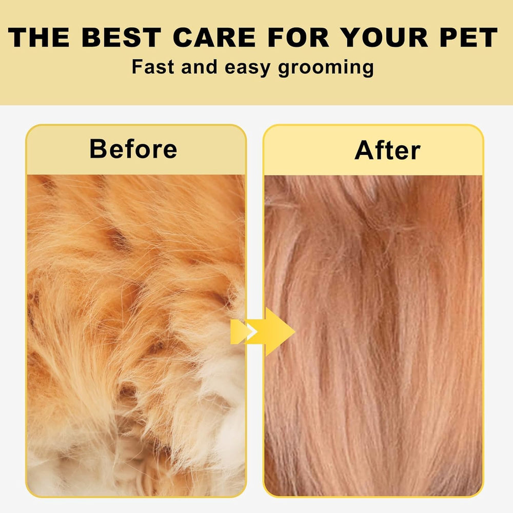 Pet Republique détail acier inoxydable illustrant durabilité et résistance
