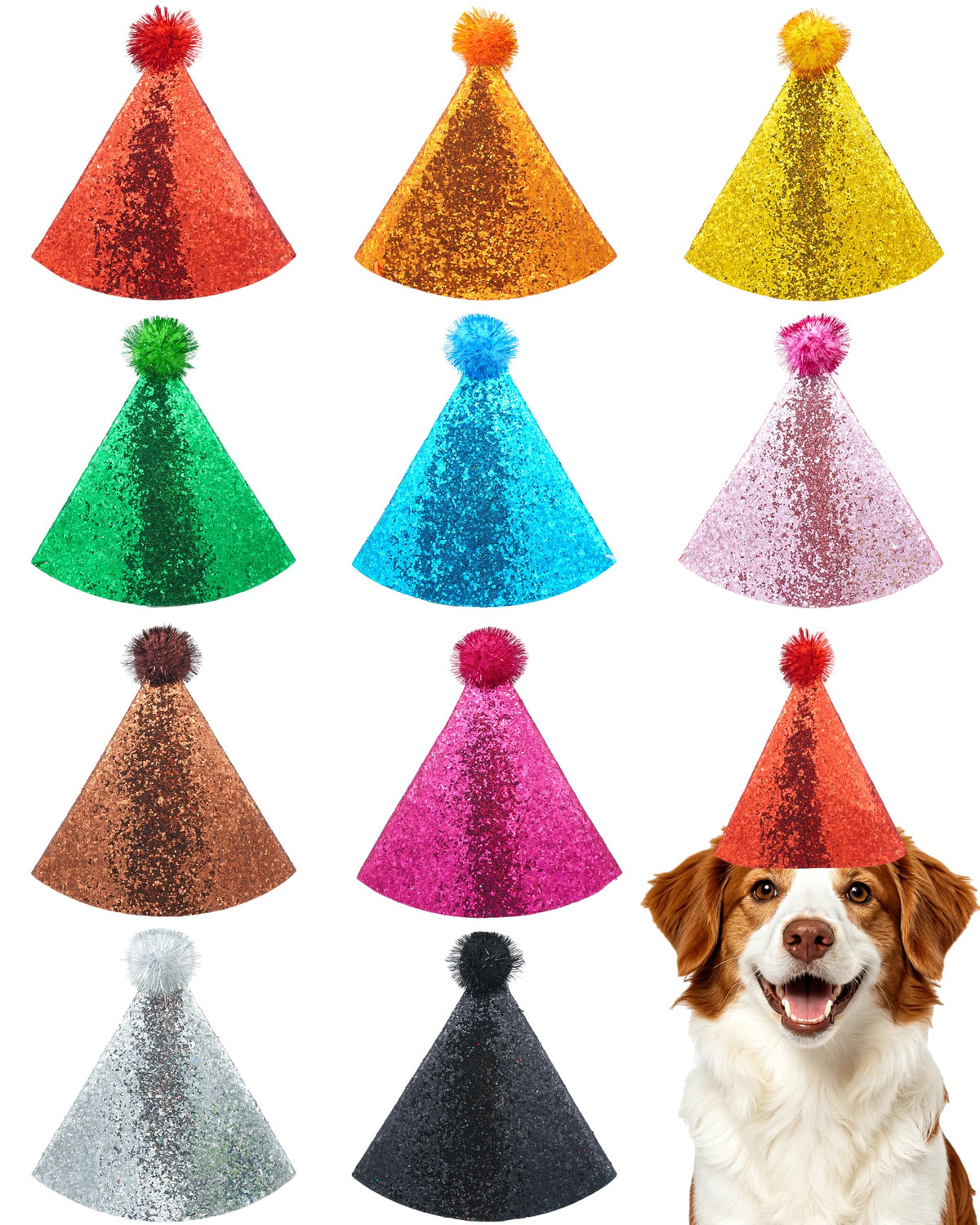 PET SHOW chapeau face avant montrant forme conique et couleurs vives