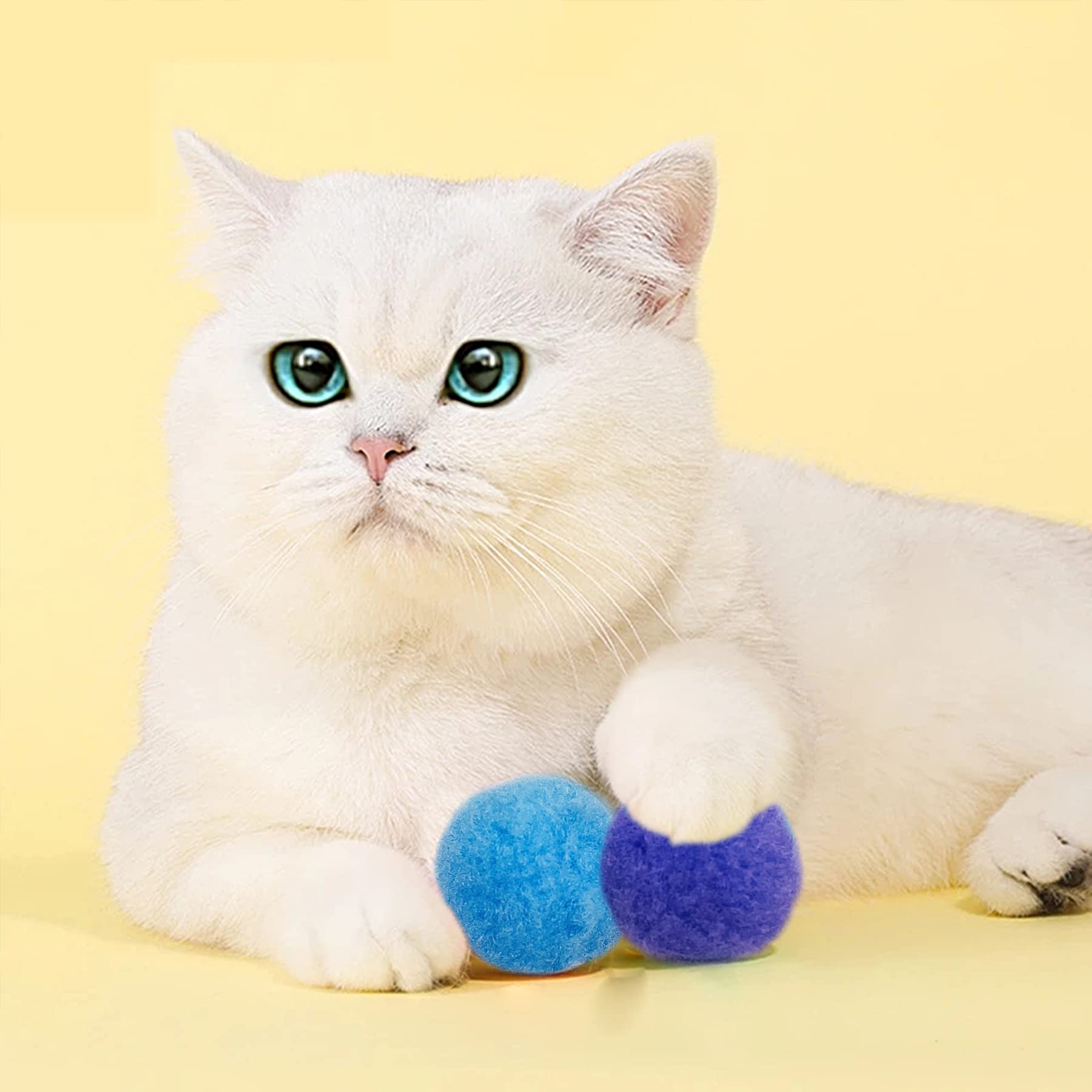 Comparaison taille PET SHOW avec pièce pour repérer dimensions utiles