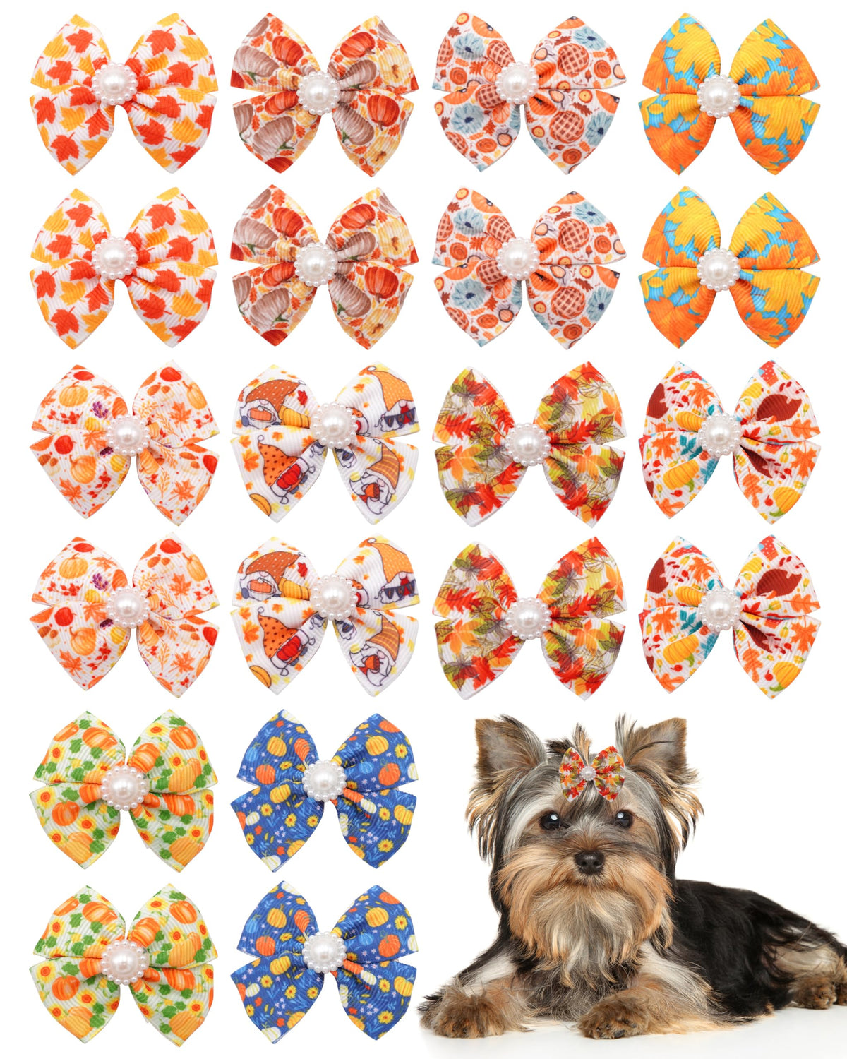 PET SHOW face de l'emballage montrant le lot de nœuds, utile pour visualiser l'ensemble