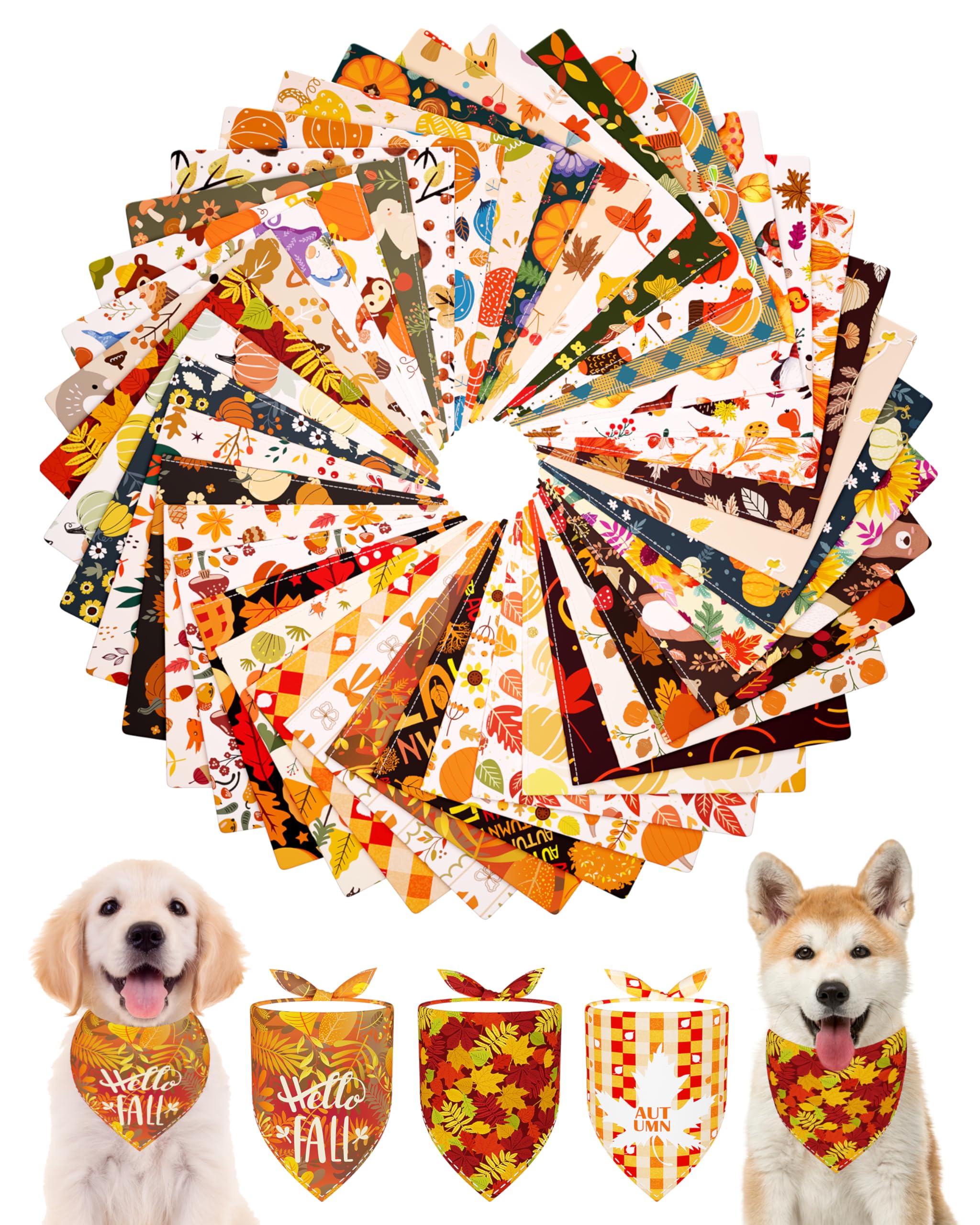PET SHOW face du paquet montrant 50 bandanas et variété automnale