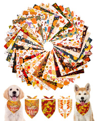 PET SHOW face du paquet montrant 50 bandanas et variété automnale