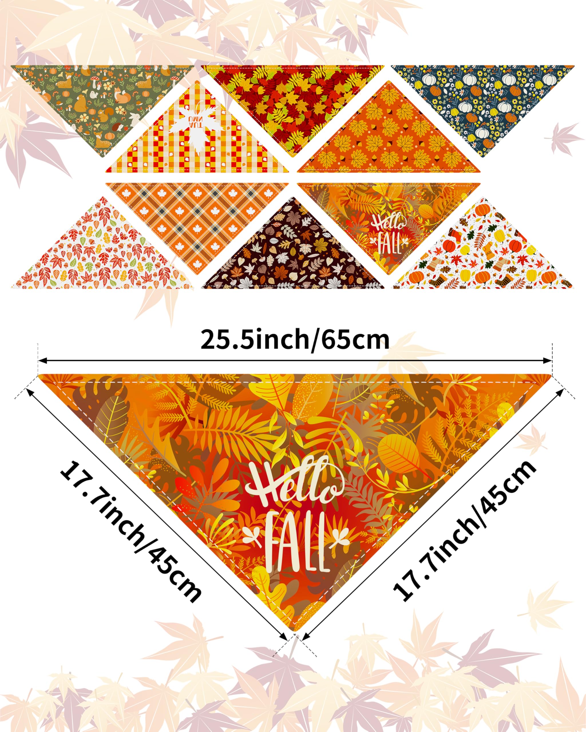 PET SHOW gros plan motif citrouille avec couleurs vives et durable