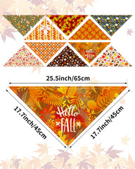 PET SHOW gros plan motif citrouille avec couleurs vives et durable
