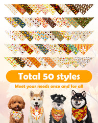 PET SHOW détail du tissu polyester souple pour confort et respirabilité