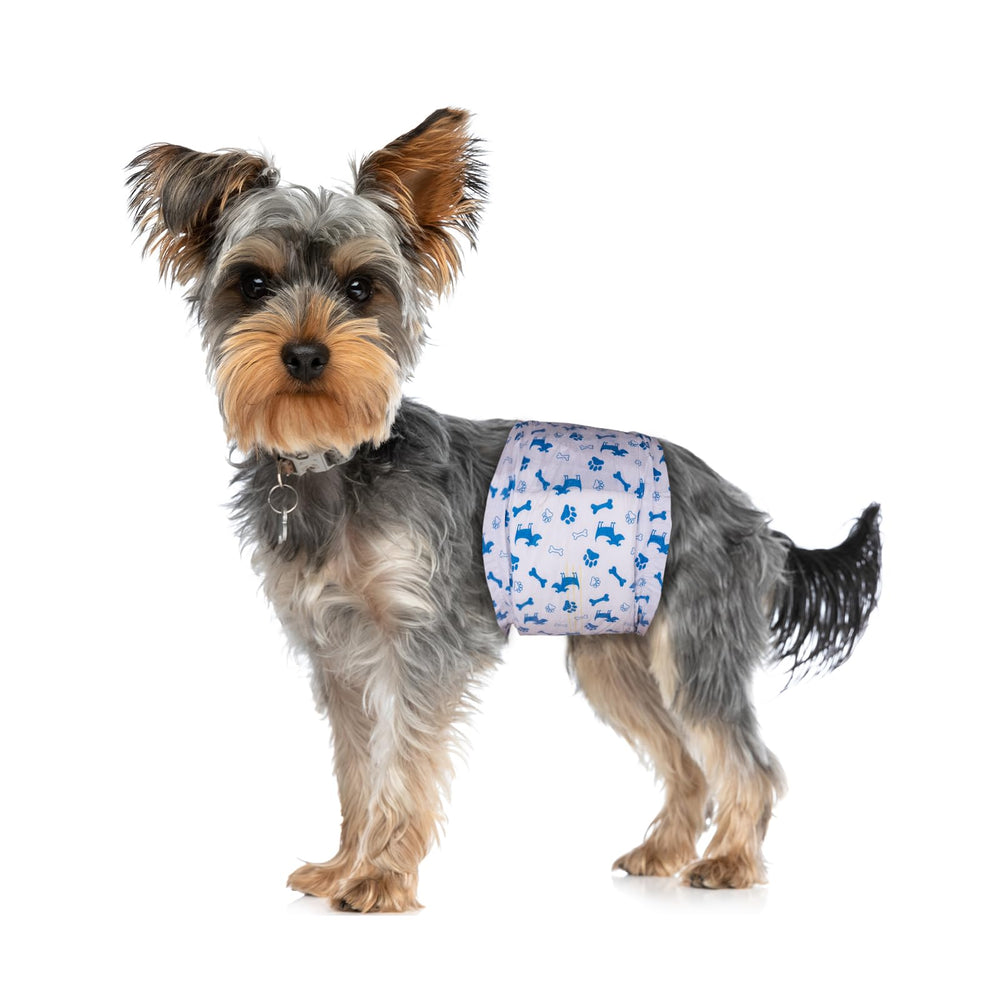 Pet Soft disposition des 20 culottes idéale pour le voyage et le stockage