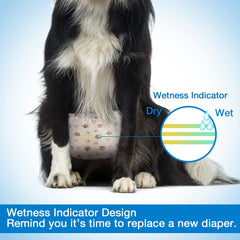 Pet Soft attaches auto-agrippantes en gros plan offrant maintien ajustable