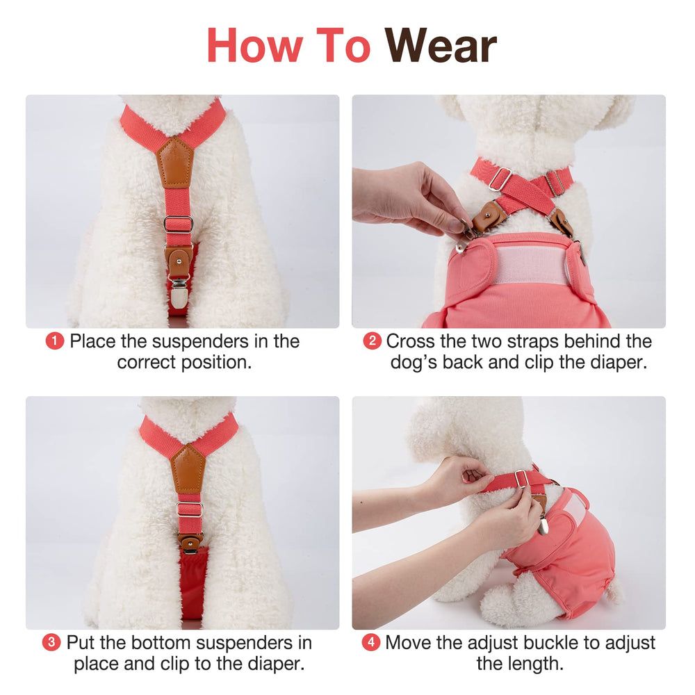 Pet Soft attache trois points sur le dos, réduction traction cou