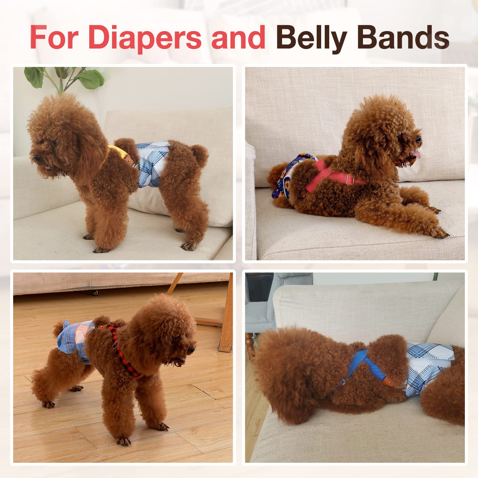 Pet Soft couleurs brun et rouge en contexte, style discret et pratique