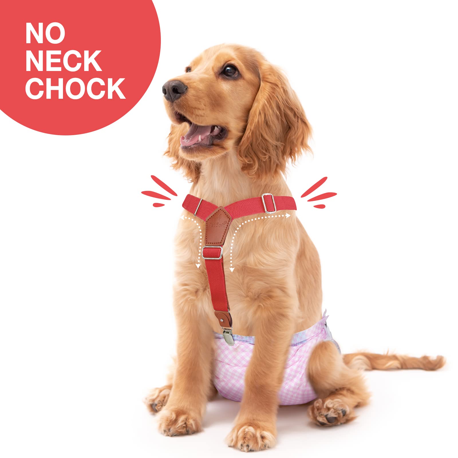 Pet Soft clip métallique en gros plan, remplacement facile