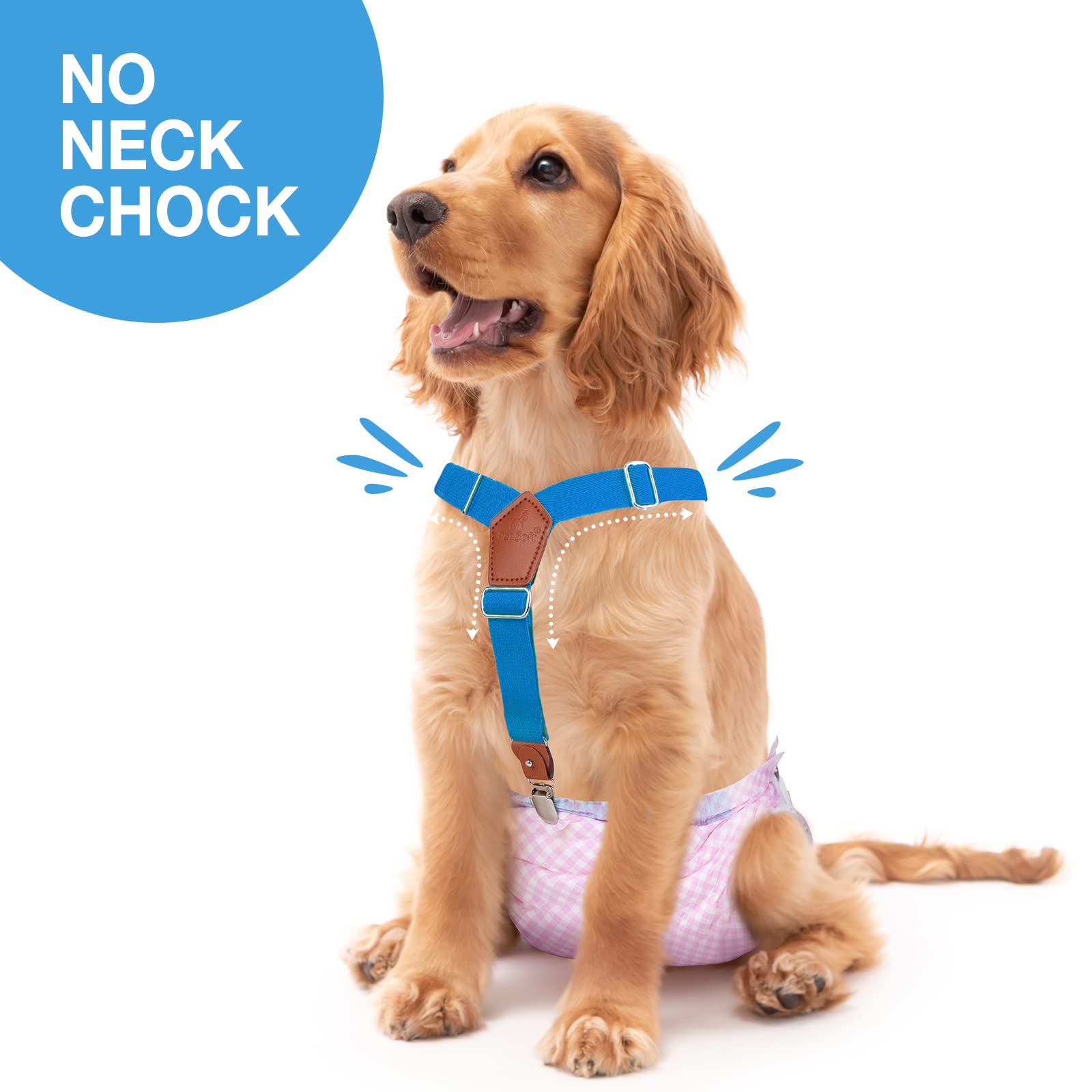 Pet Soft gros plan sur webbing élastique pour confort et tenue
