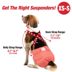 Pet Soft bretelles en usage sur chienne, maintien de la couche