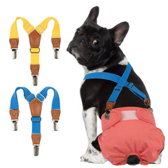 Pet Soft bretelles face ensemble or et bleu montrant design et couleurs