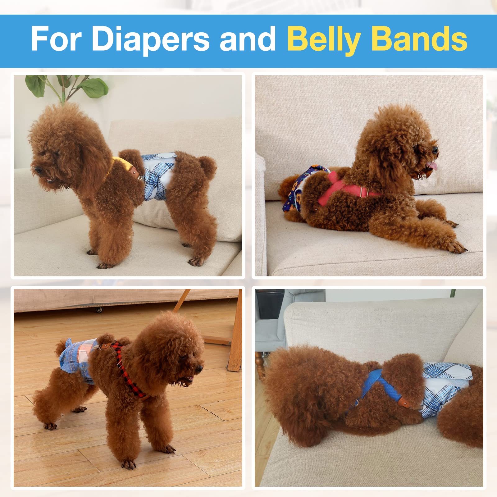 Pet Soft style vie quotidienne avec jupe montrant discrétion
