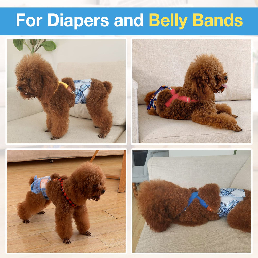 Pet Soft style vie quotidienne avec jupe montrant discrétion