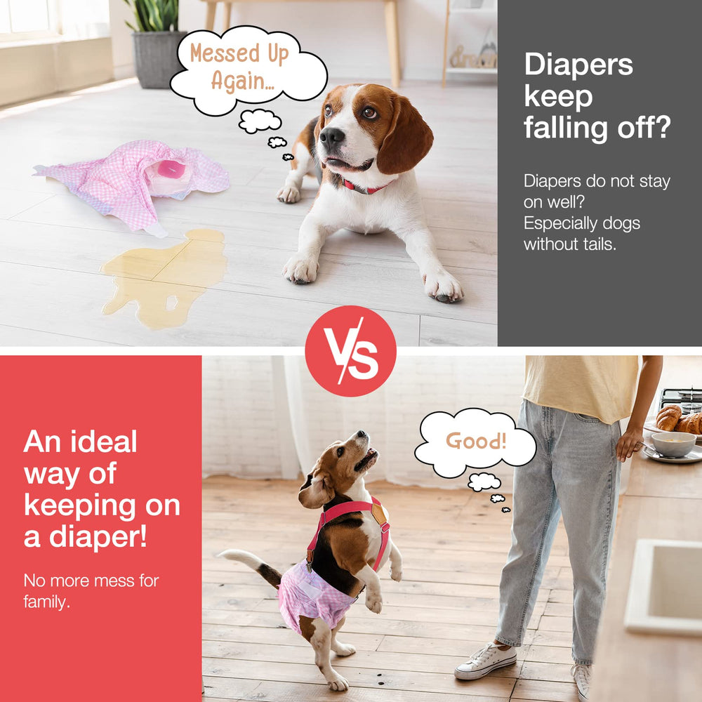 Pet Soft sangle élastique gros plan, confort contre la peau
