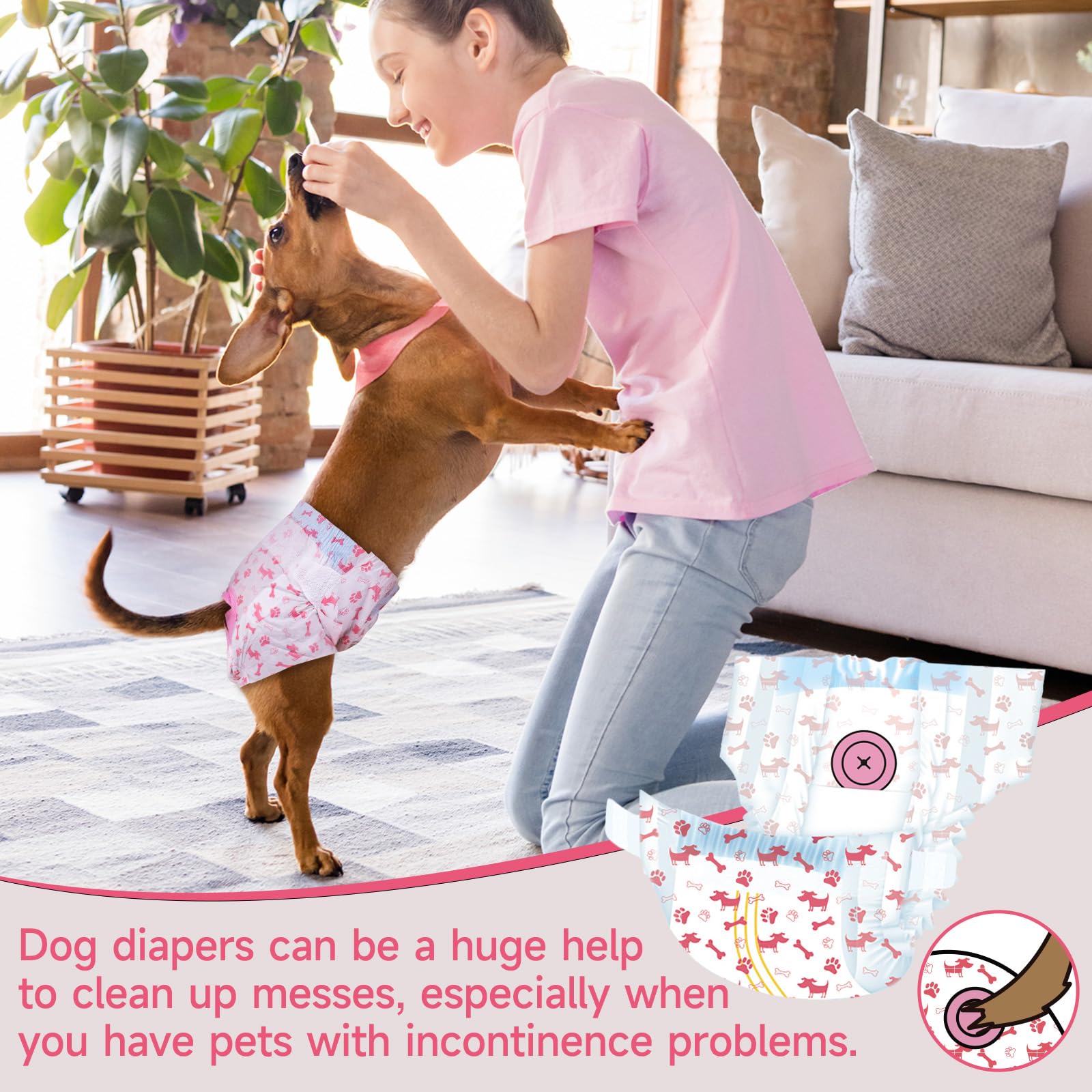 Pet Soft chienne portant la couche en intérieur, confort et protection
