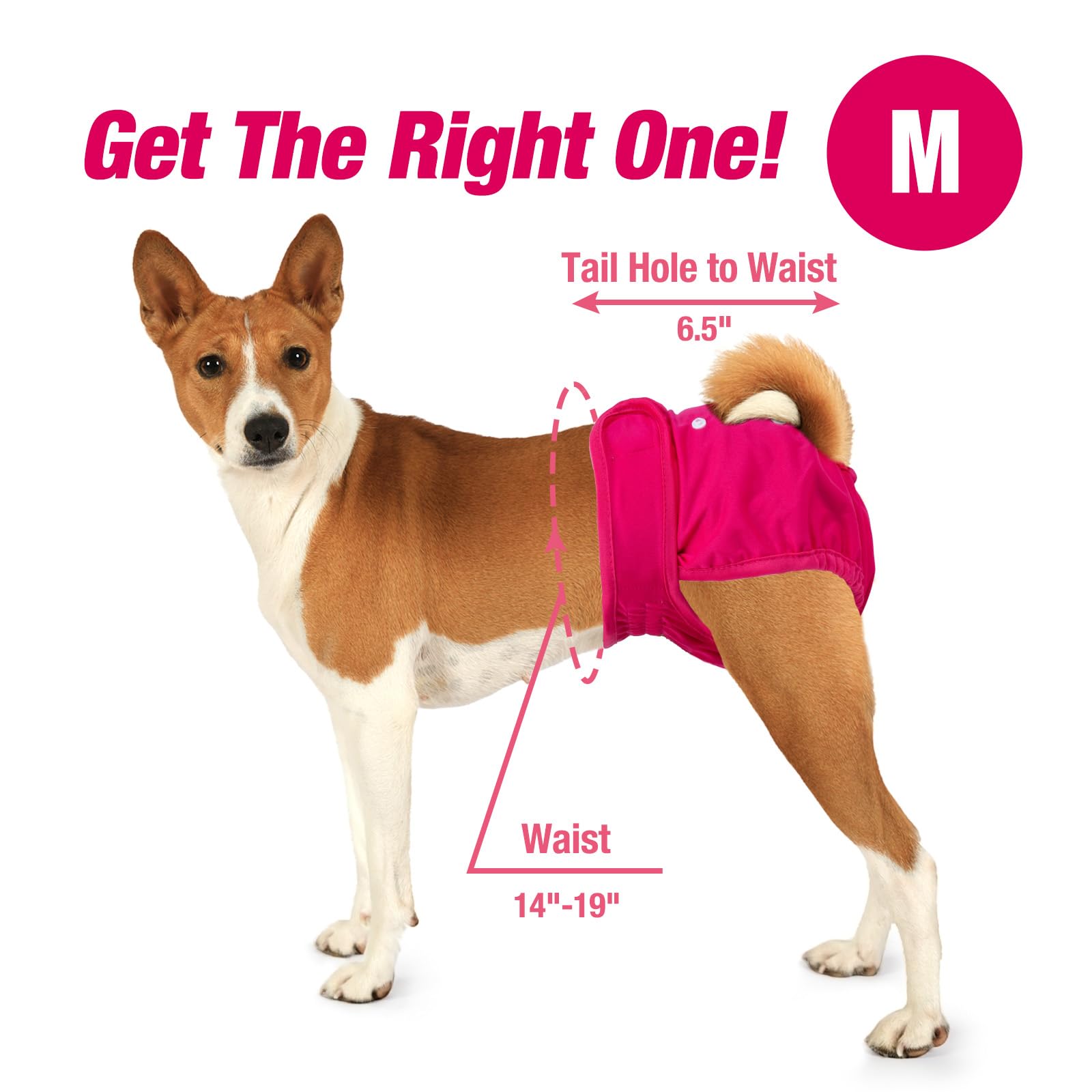 Pet Soft chienne portant la couche en extérieur, liberté de mouvement illustrée