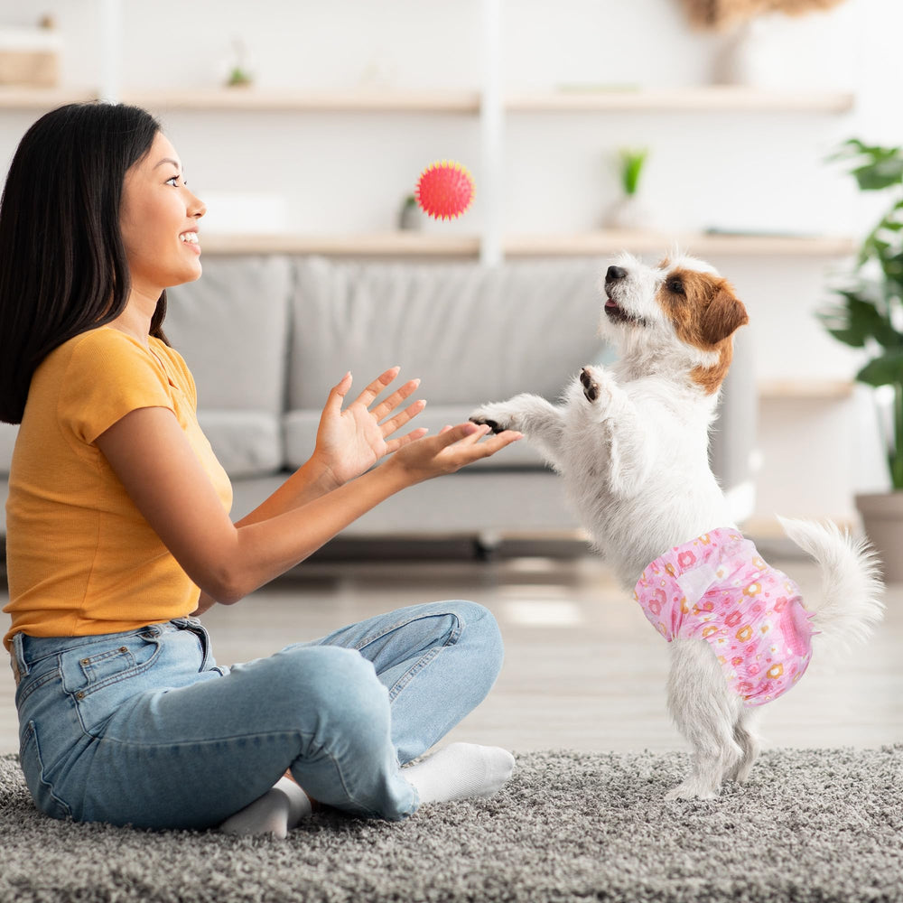 Pet Soft comparaison taille avec ruban, vérification facile des mensurations
