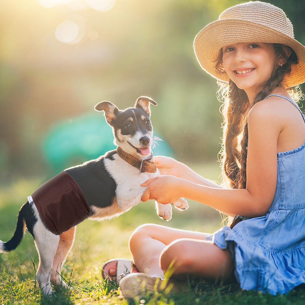 Pet Soft comparaison taille avec règle, guide de choix