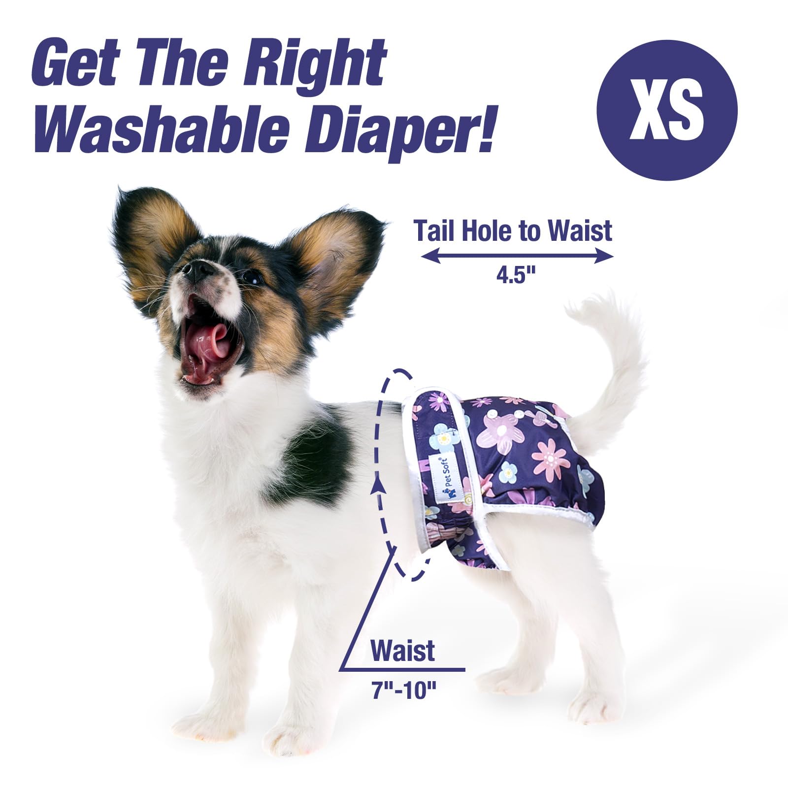 Pet Soft comparaison taille avec règle aidant au bon choix de taille