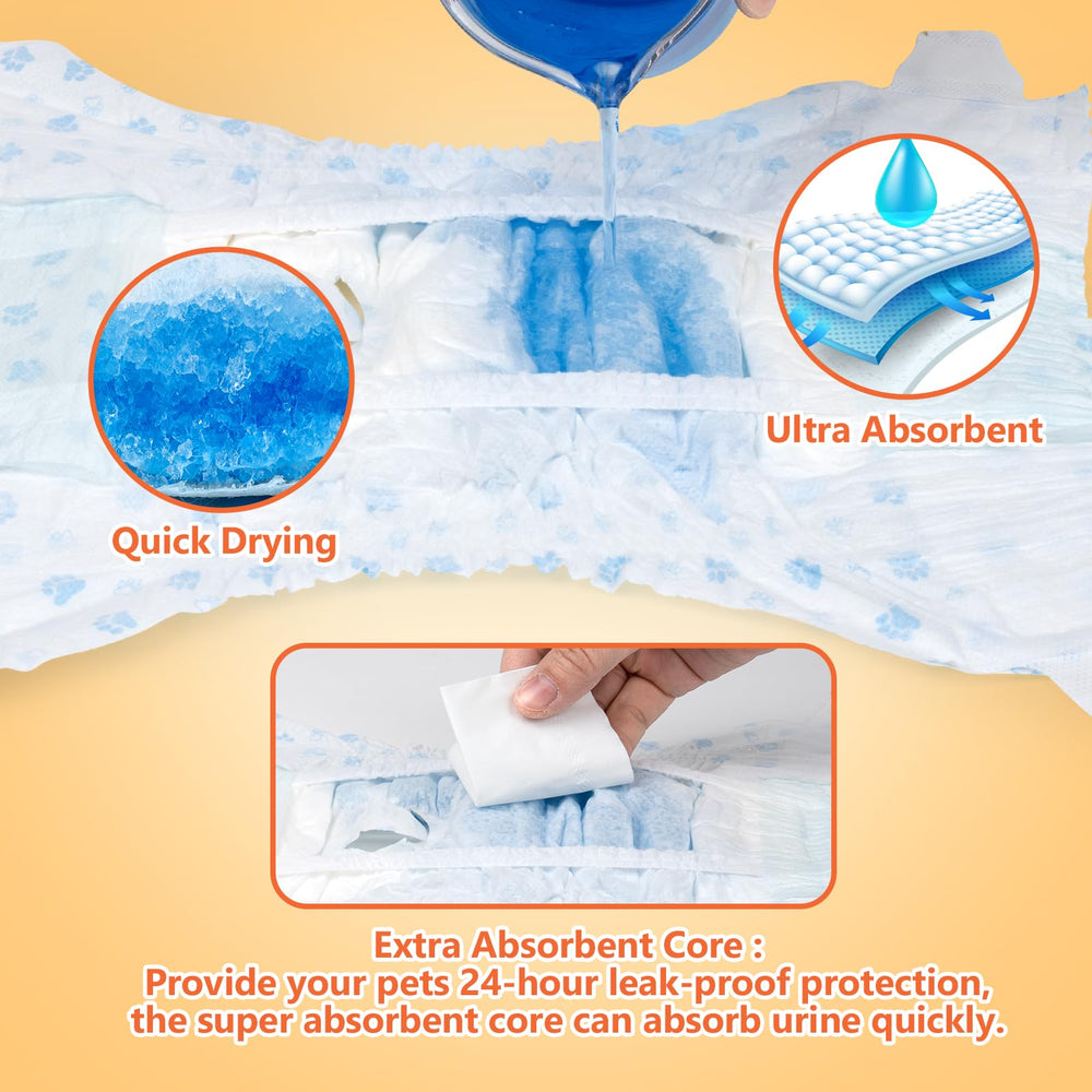 Pet Soft comparaison taille avec règle montrant adaptation XXS