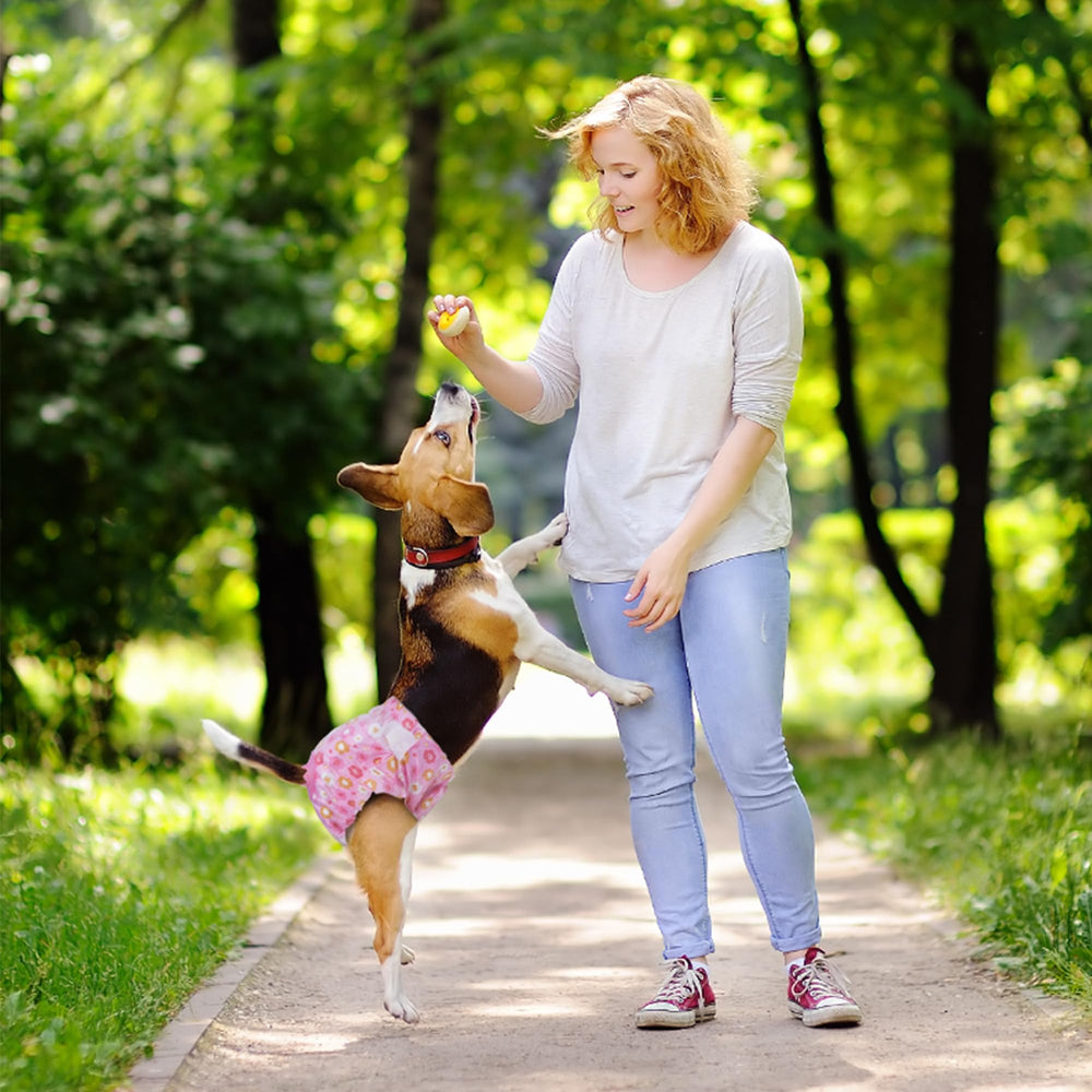 Pet Soft comparaison taille avec règle pour choisir la bonne taille facilement