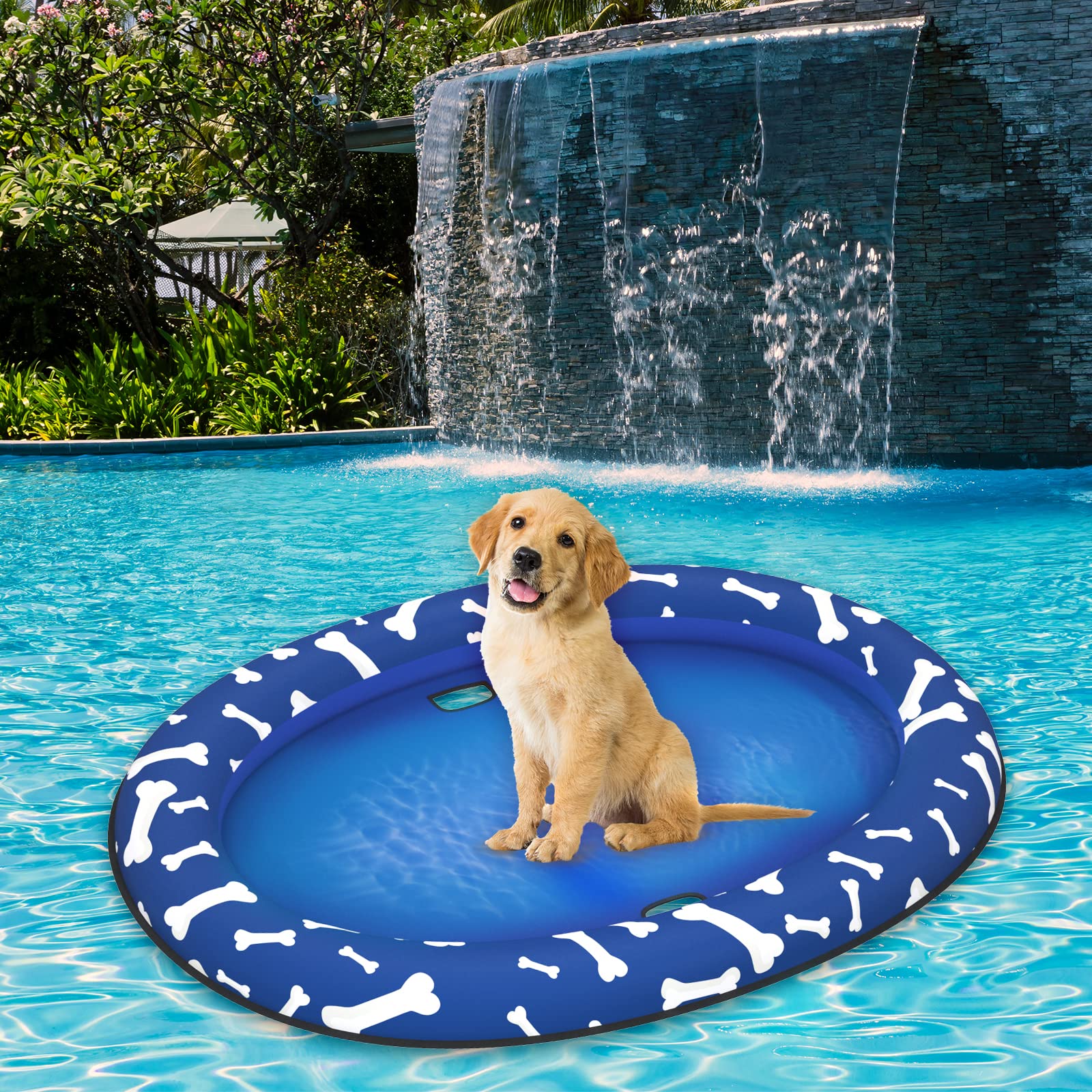 Pet Soft comparaison taille montrant adaptabilité pour chiens