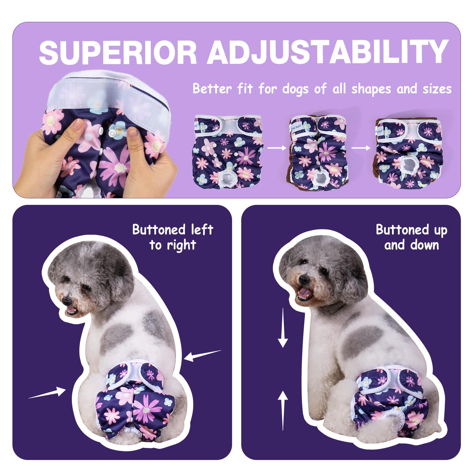 Pet Soft comparaison de taille montrant dimension M et guide de mesure