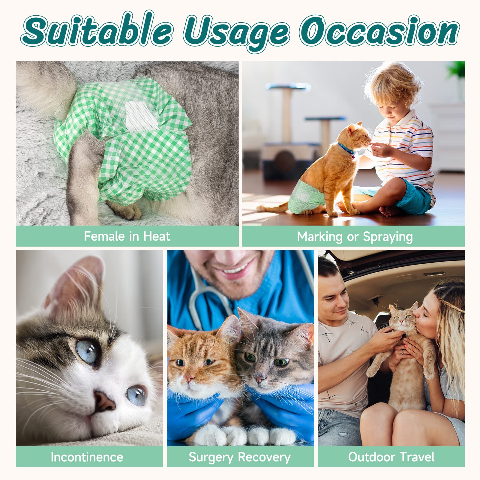 Pet Soft comparaison avec règle, montre ajustement taille S précis