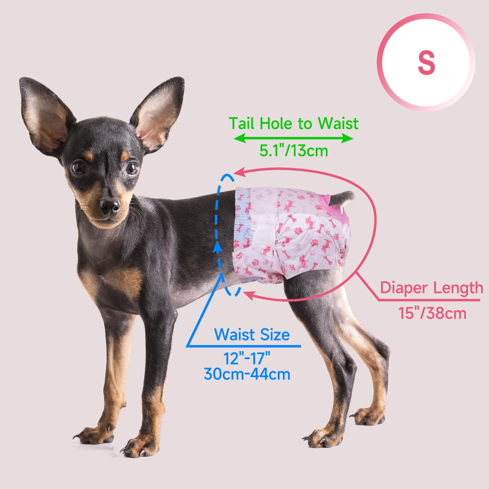 Pet Soft couche portée par petite chienne en promenade, protection pratique