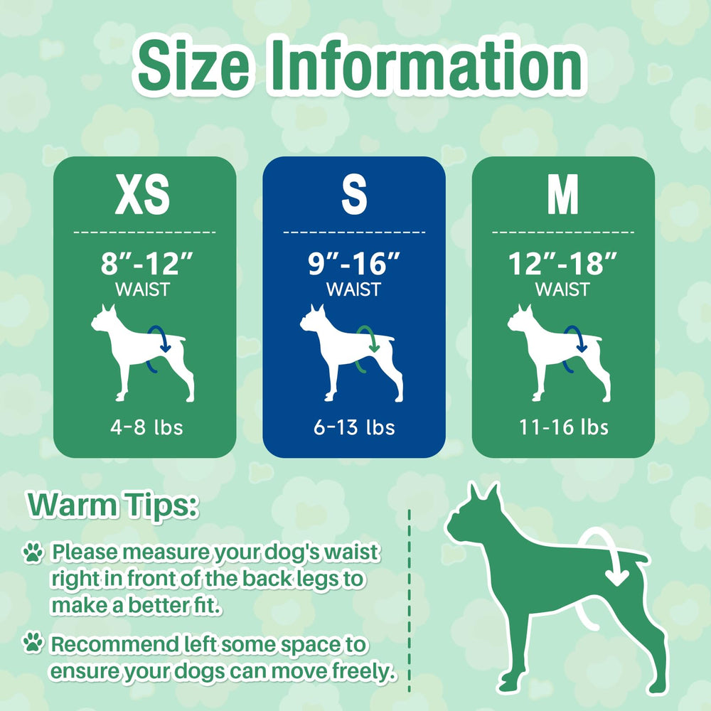 Pet Soft comparaison d'échelle montrant la taille Small adaptée aux chiens 6–13 lb pour un bon ajustement