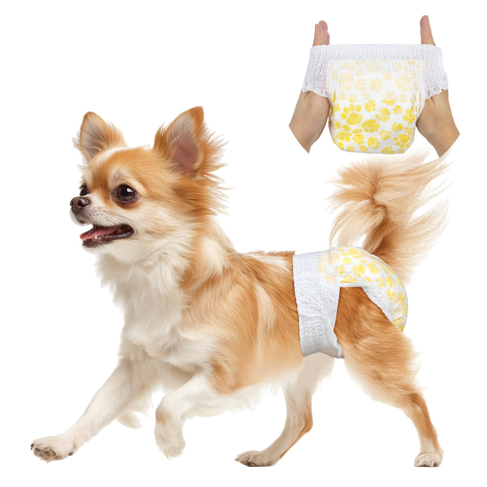 Pet Soft culotte jetable face avant montrant maintien et protection