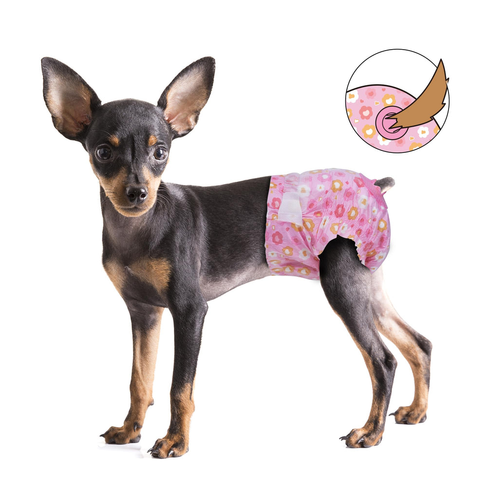Pet Soft pack de 12 culottes posé sur table pour stockage facile