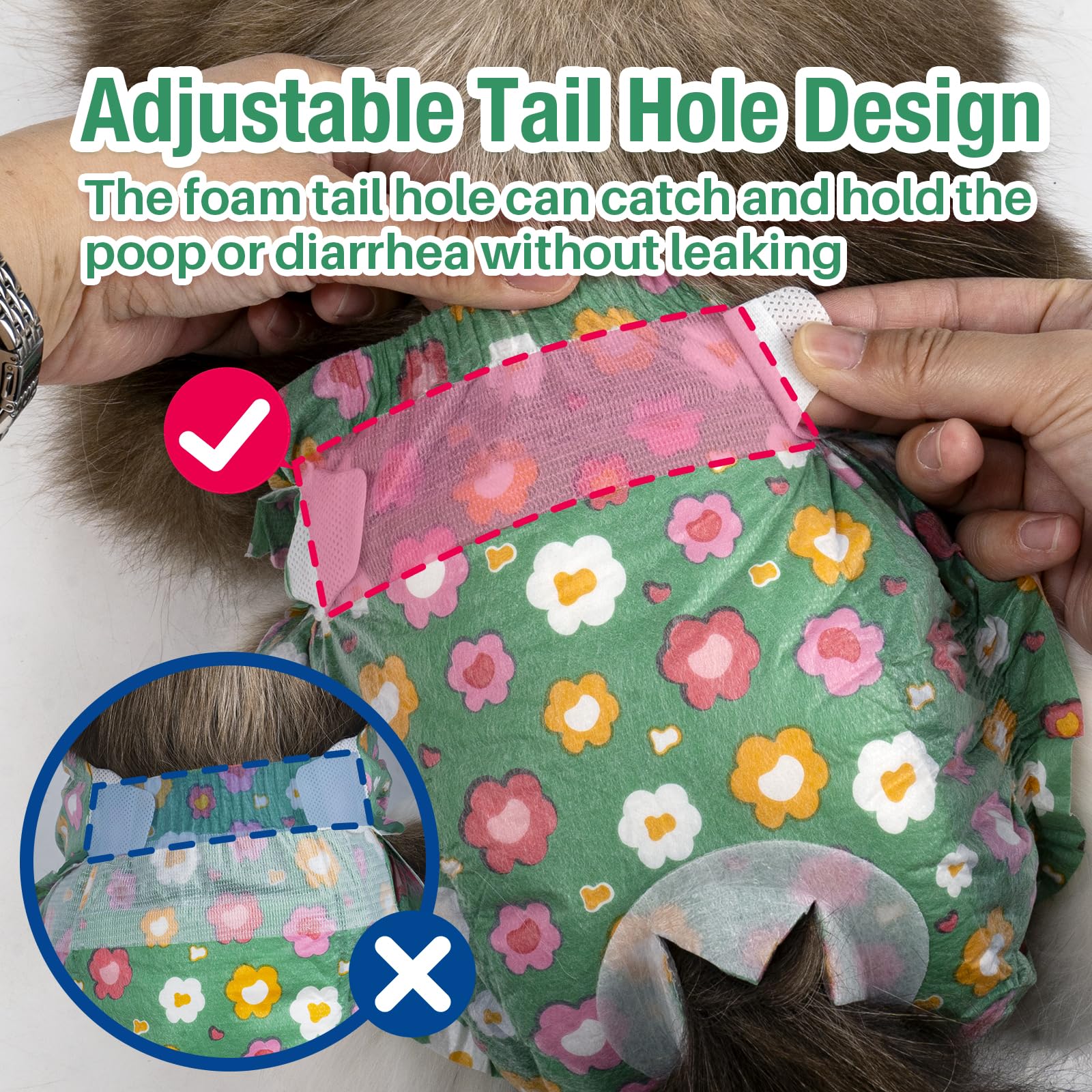 Pet Soft culotte portée sur une petite chienne en intérieur pour protection pendant les chaleurs