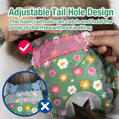 Pet Soft culotte portée sur une petite chienne en intérieur pour protection pendant les chaleurs
