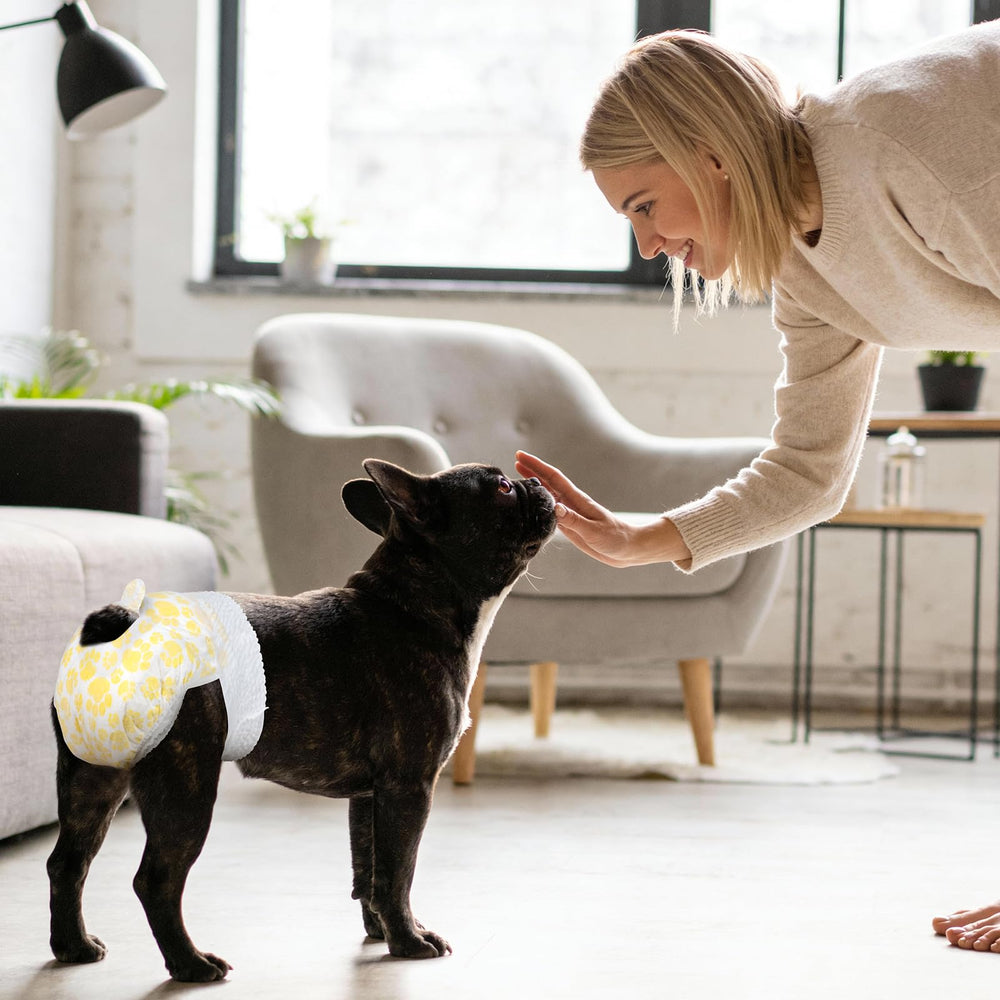 Pet Soft texture douce non tissée pour confort et respirabilité