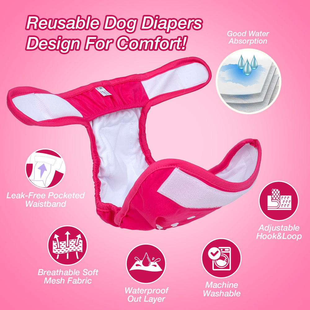 Pet Soft gros plan de la ceinture élastique offrant maintien et anti-fuite