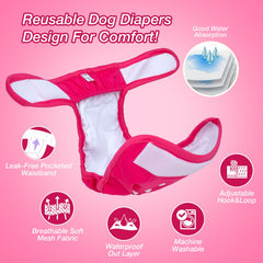 Pet Soft gros plan de la ceinture élastique offrant maintien et anti-fuite