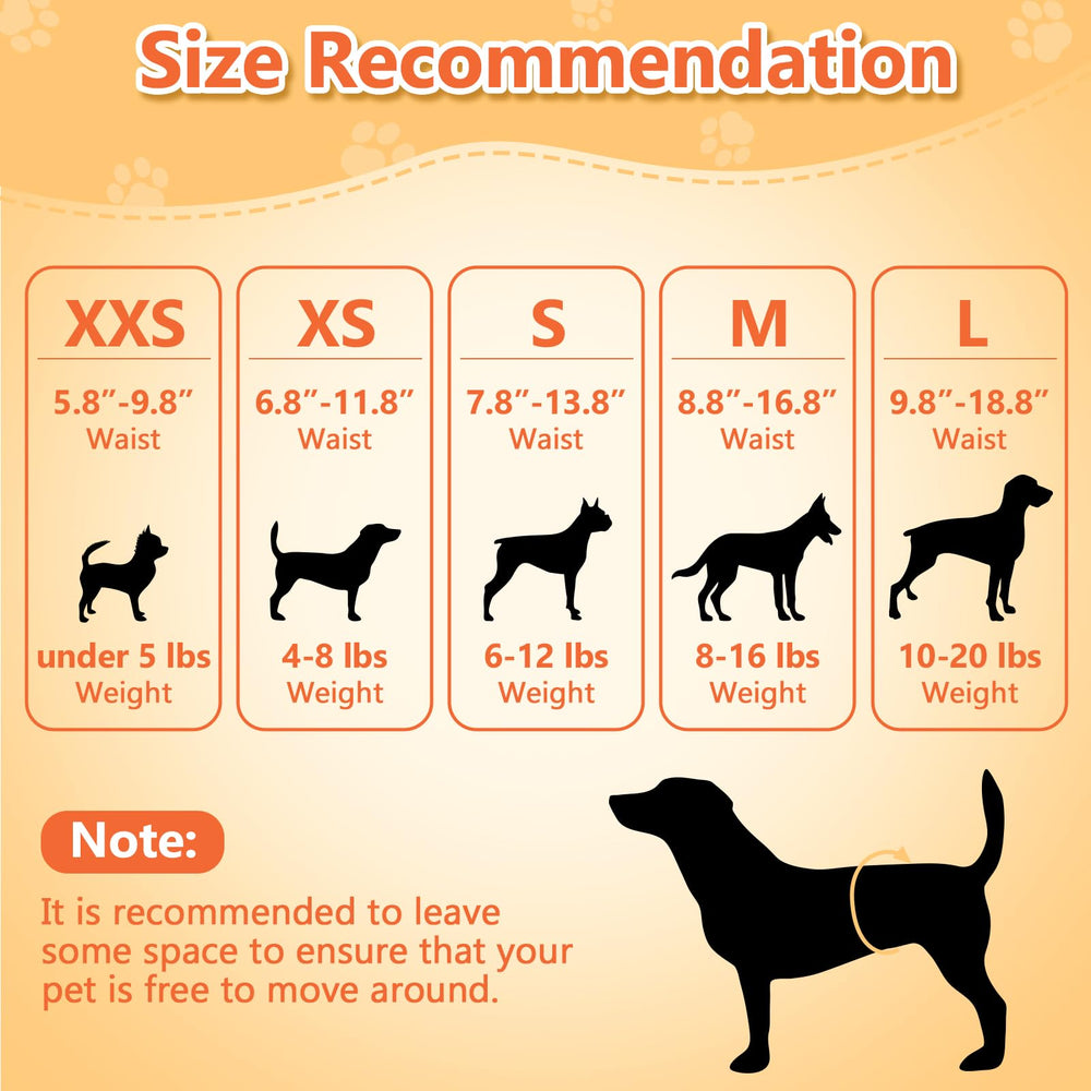 Pet Soft bords élastiques détaillés pour limitation des fuites
