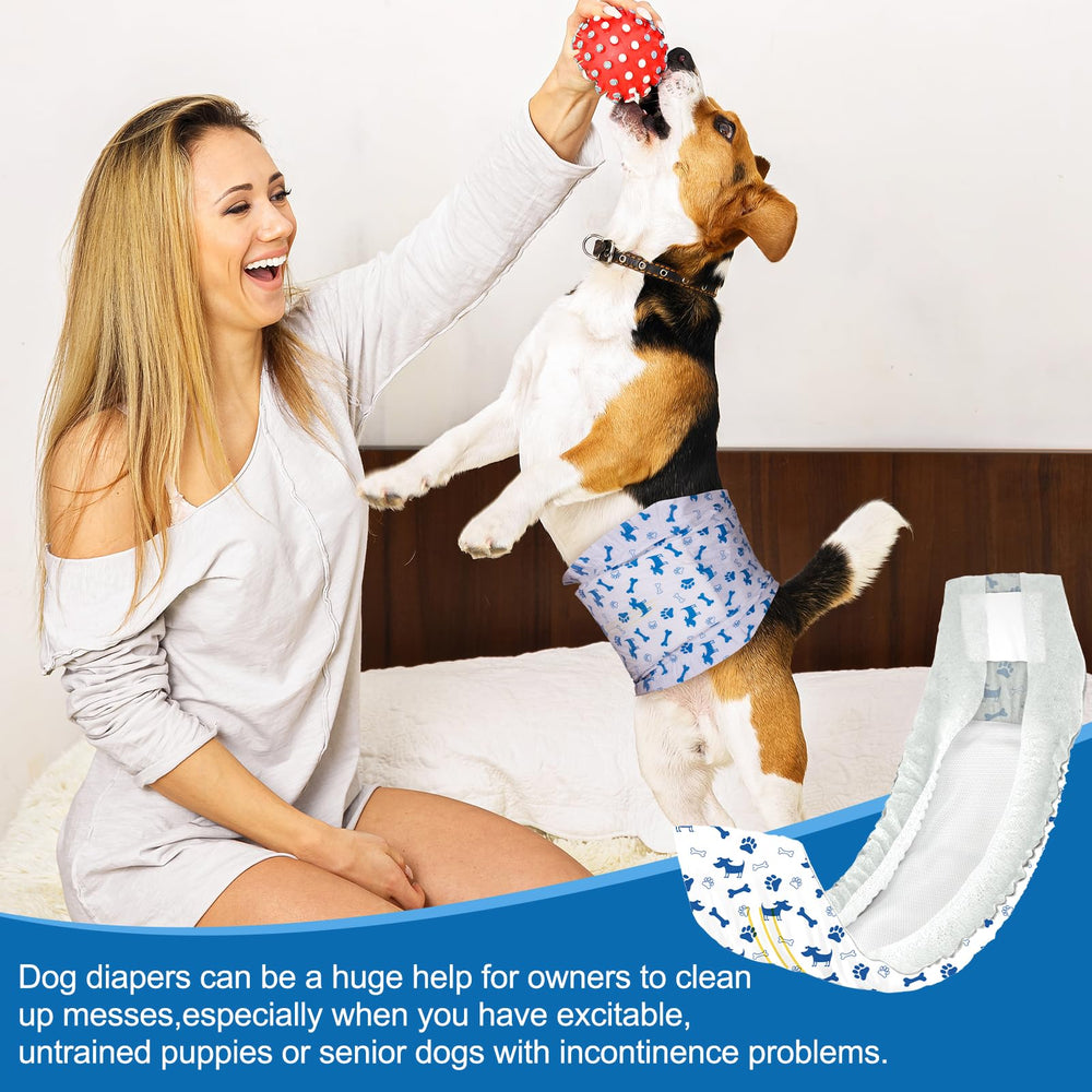 Pet Soft démonstration absorption pour performance contre les fuites