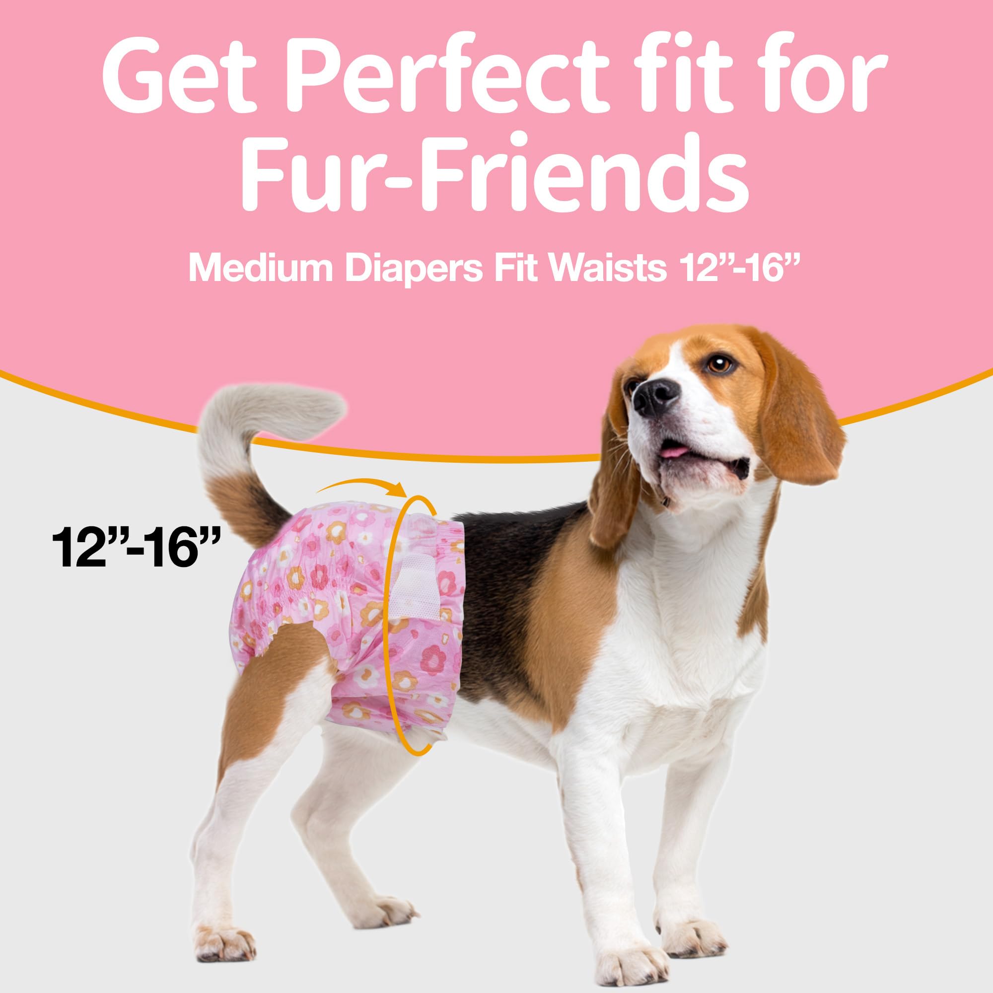 Pet Soft élastique taille confortable offrant maintien durant mouvement