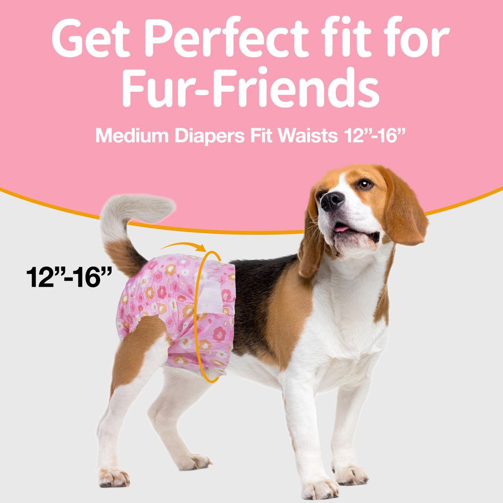 Pet Soft élastique taille confortable offrant maintien durant mouvement